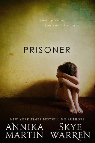 Cover of Prisoner by Skye Warren