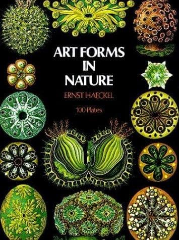 Cover of Art Forms in Nature by Ernst Haeckel