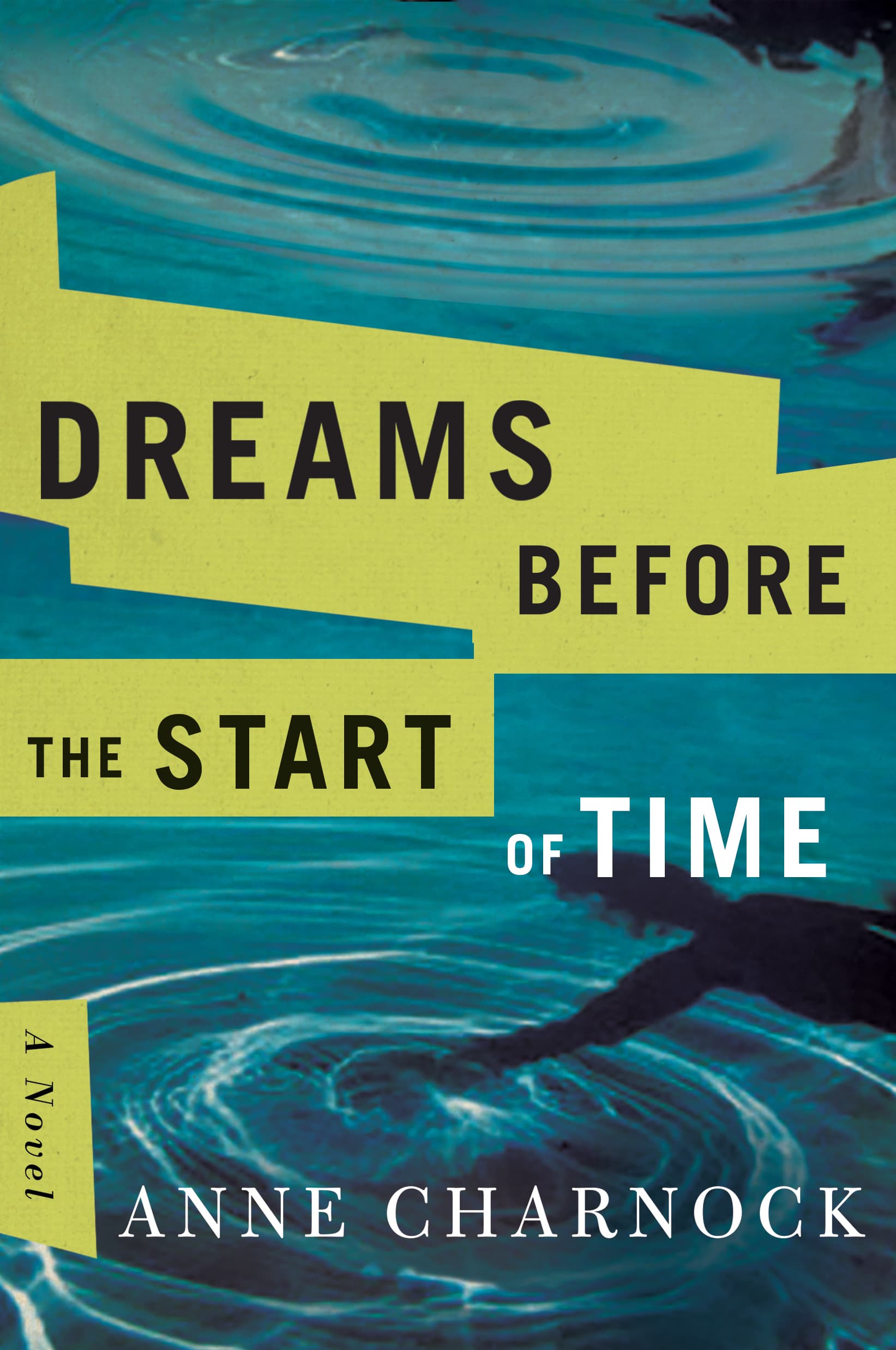 Cover of Dreams Before the Start of Time by Anne Charnock