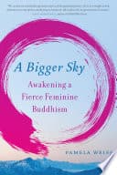 Cover of A Bigger Sky by Pamela Weiss