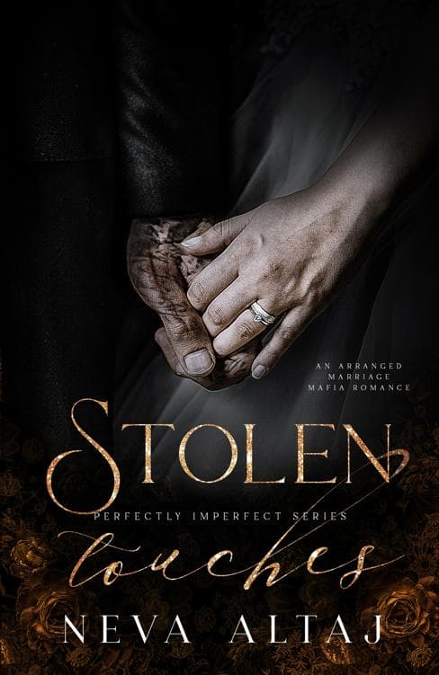 Cover of Stolen Touches by Neva Altaj