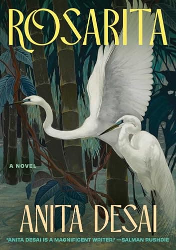 Cover of Rosarita by Anita Desai