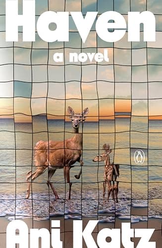 Cover of Haven by Ani Katz