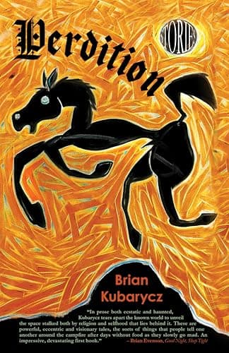 Cover of Perdition: Stories by Brian Kubarycz