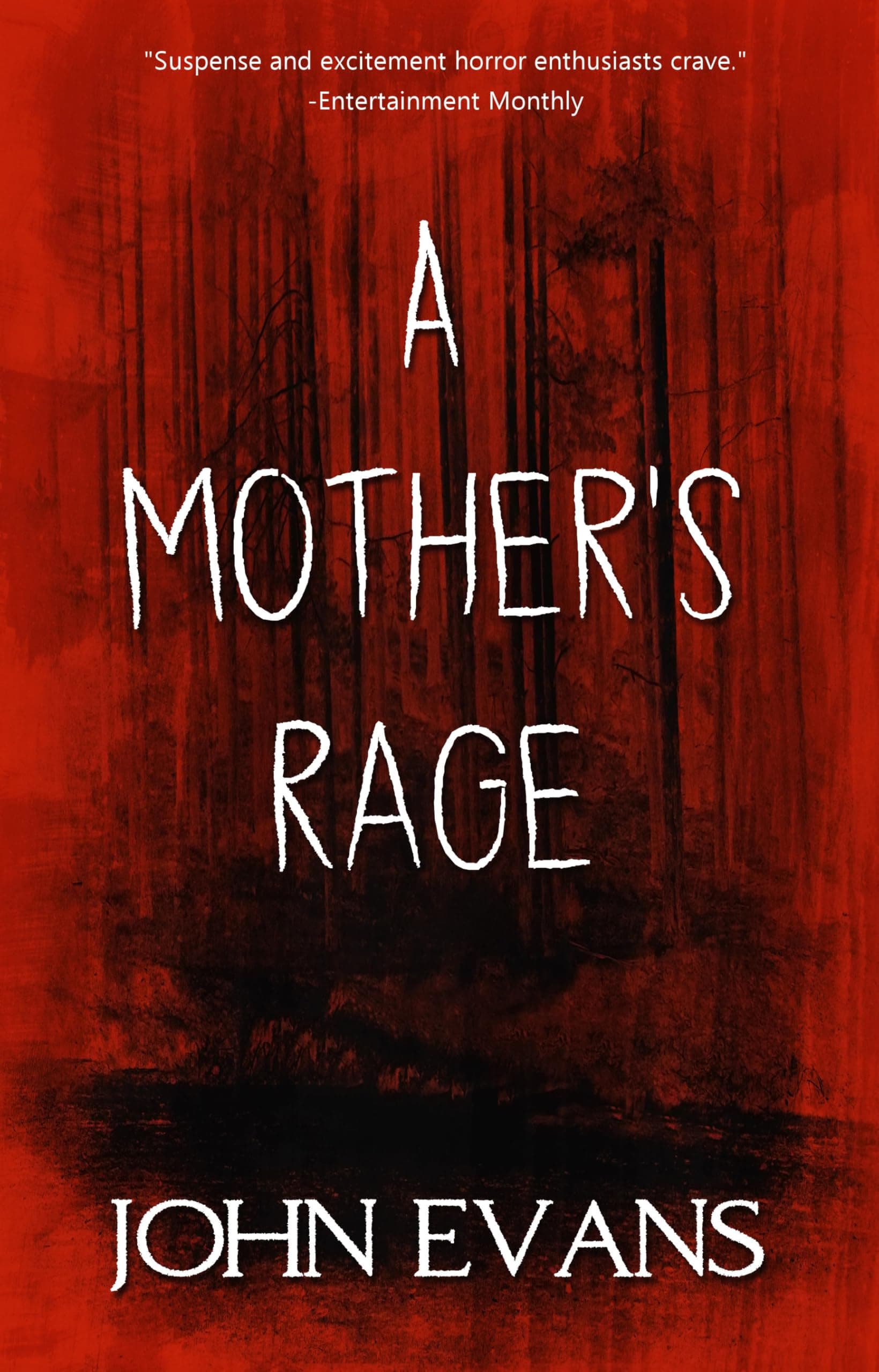 Cover of A Mother's Rage by John (ronin) Evans