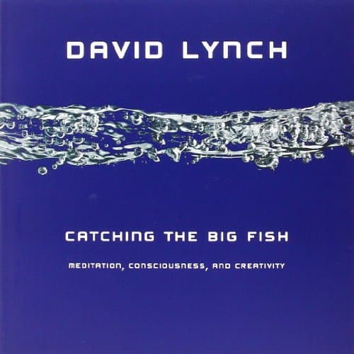 Cover of Catching the Big Fish: Meditation, Consciousness, and Creativity by David Lynch