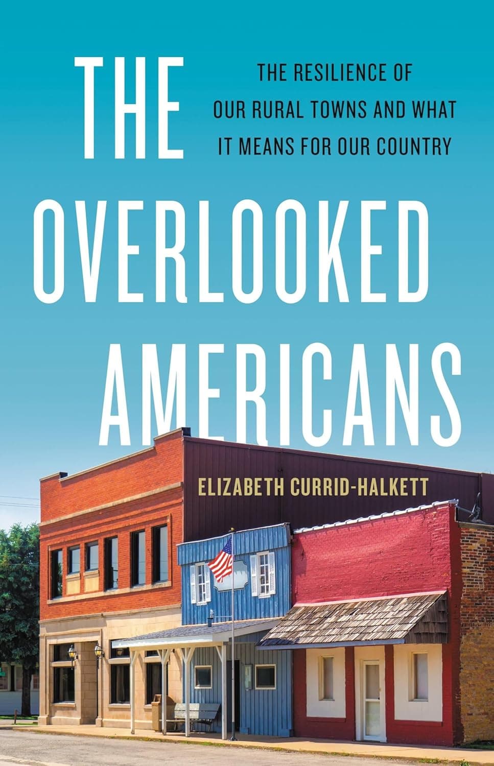 Cover of The Overlooked Americans by Elizabeth Currid-Halkett