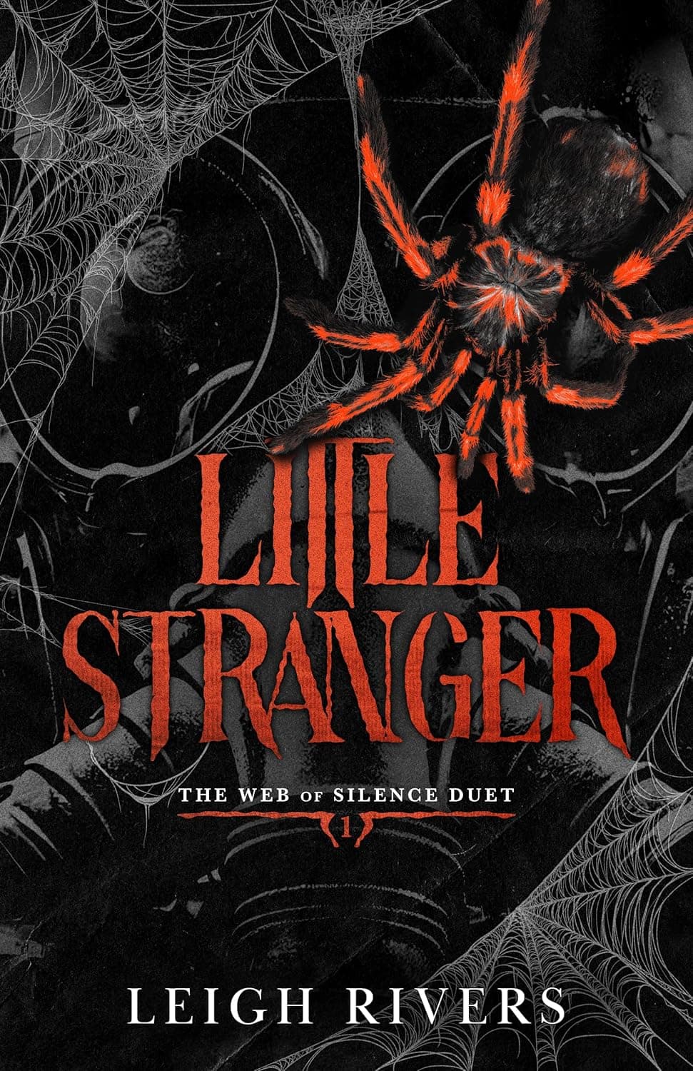 Cover of Little Stranger