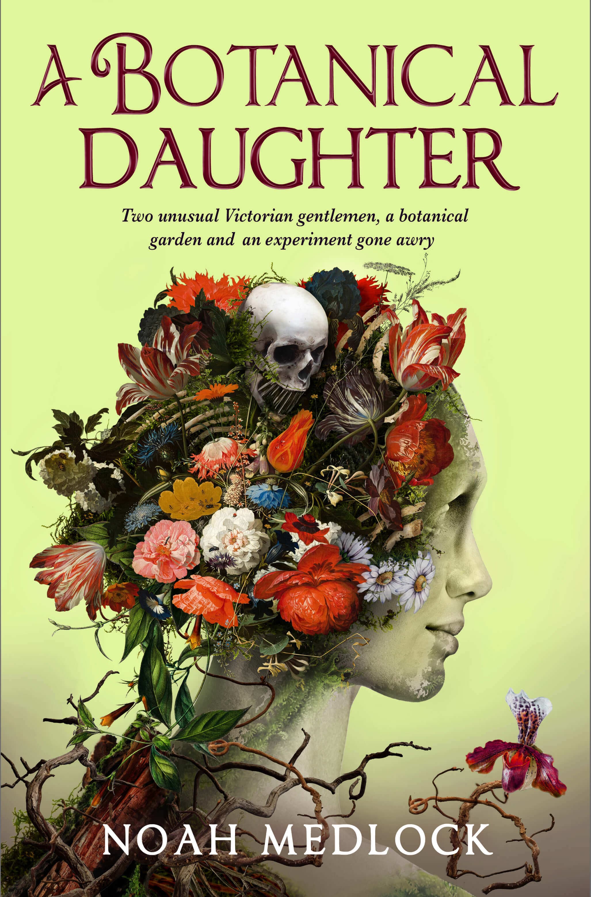 Cover of A Botanical Daughter by Noah Medlock