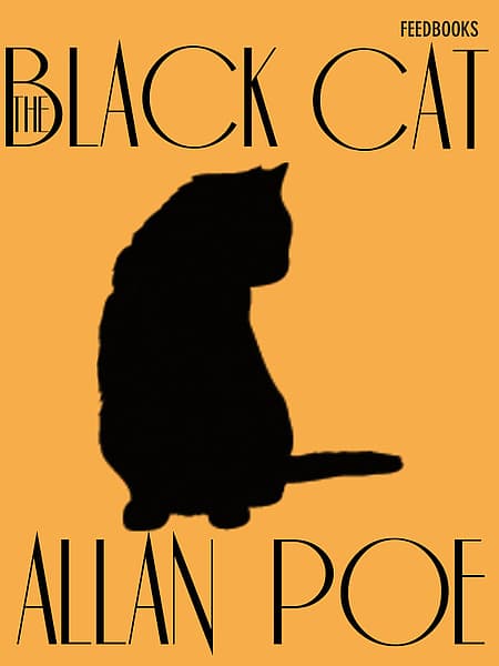 Cover of El gato negro by Edgar Allan Poe