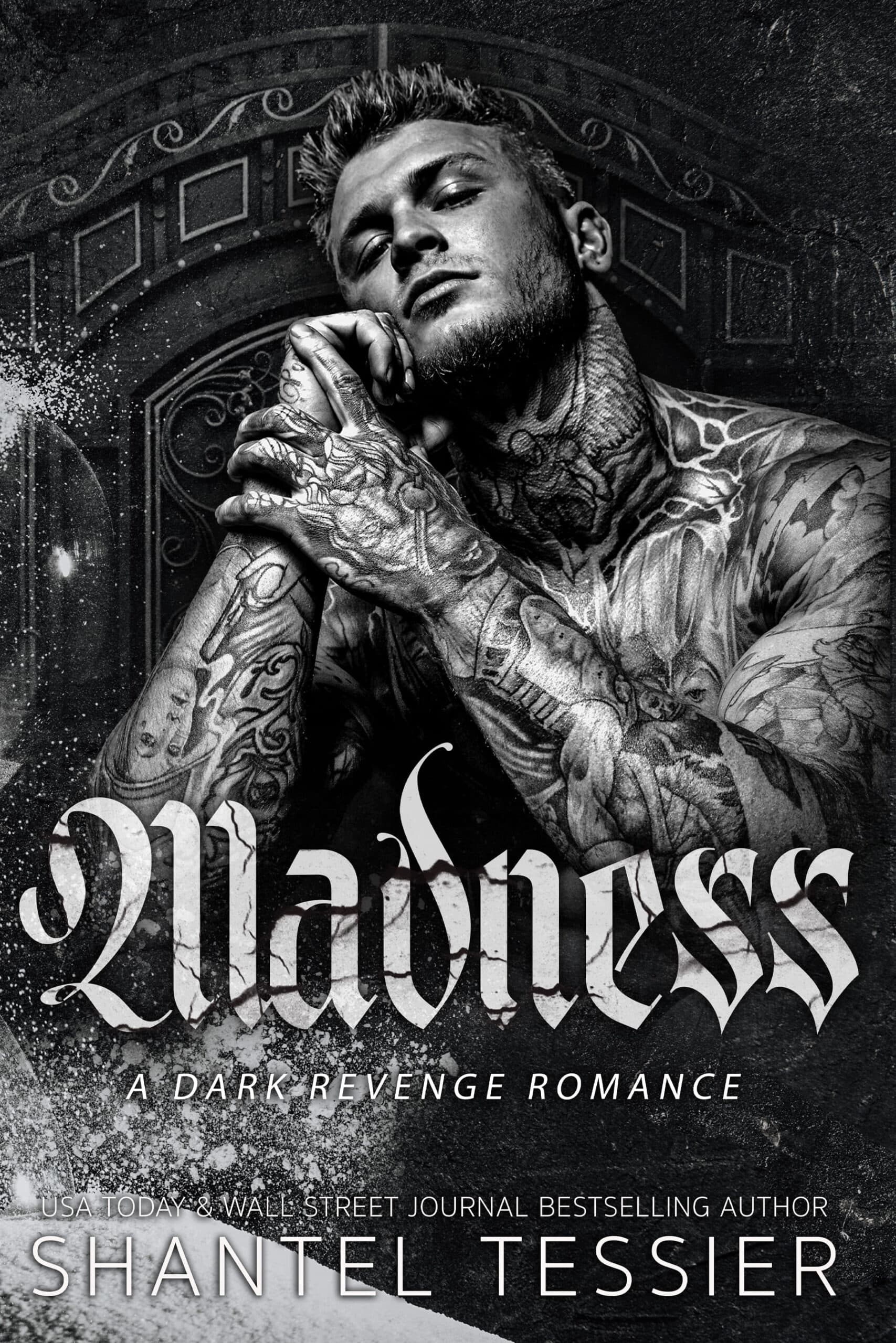 Cover of Madness by Shantel Tessier