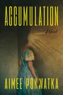 Cover of Accumulation by Aimee Pokwatka