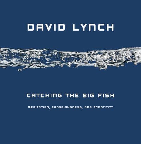 Cover of Catching the Big Fish: Meditation, Consciousness, and Creativity
