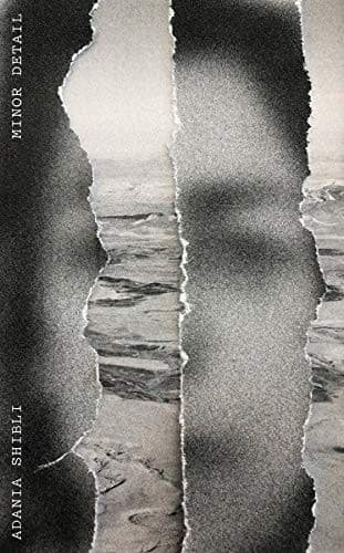 Cover of Minor Detail by Adania Shibli
