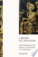 Cover of Labors of Division by Navyug Gill