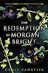 Cover of The Redemption of Morgan Bright by Chris Panatier