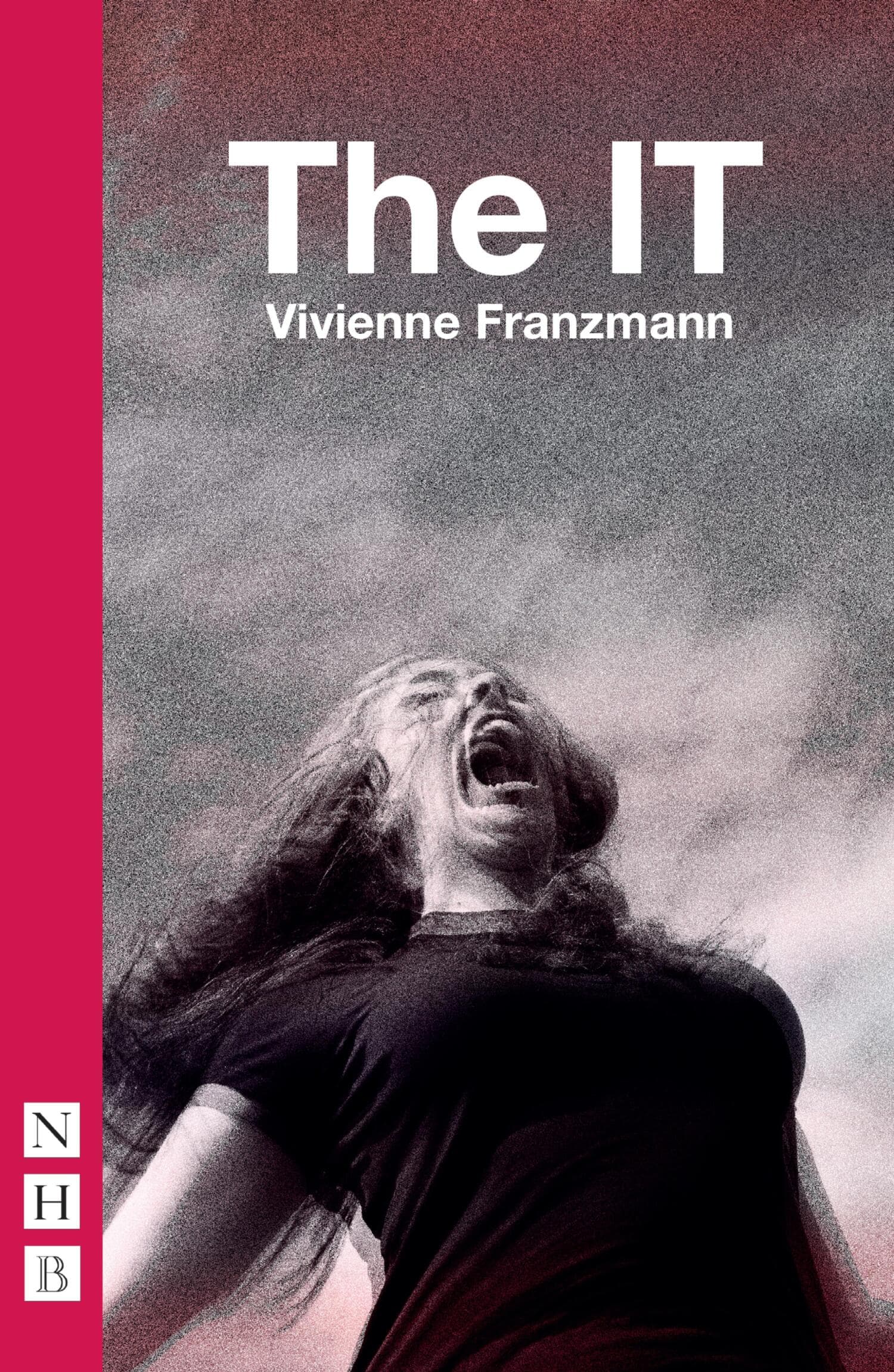 Cover of The IT by Vivienne Franzmann