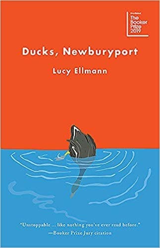 Cover of Ducks, Newburyport by Lucy Ellmann