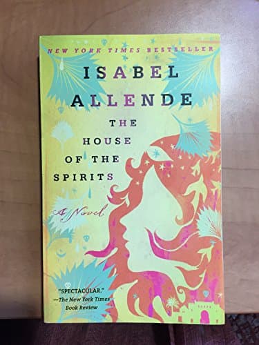 Cover of The House of the Spirits by Magda Bogin