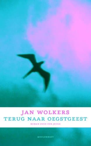 Cover of Terug naar Oegstgeest by Jan Wolkers