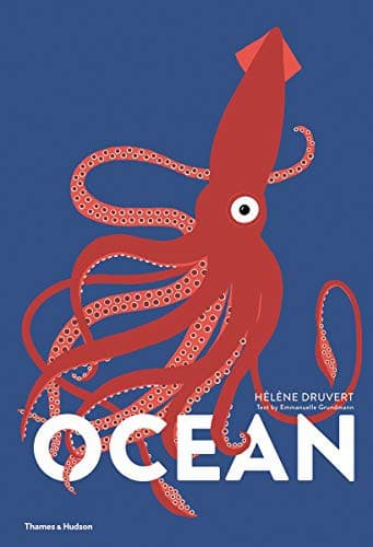 Cover of Ocean by Hélène Druvert