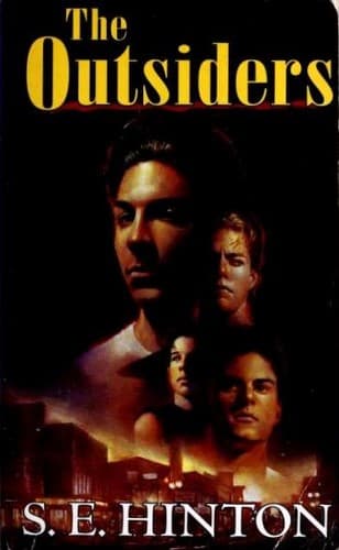 Cover of The Outsiders by S. E. Hinton