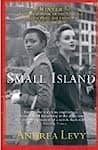 Cover of Small Island by Andrea Levy
