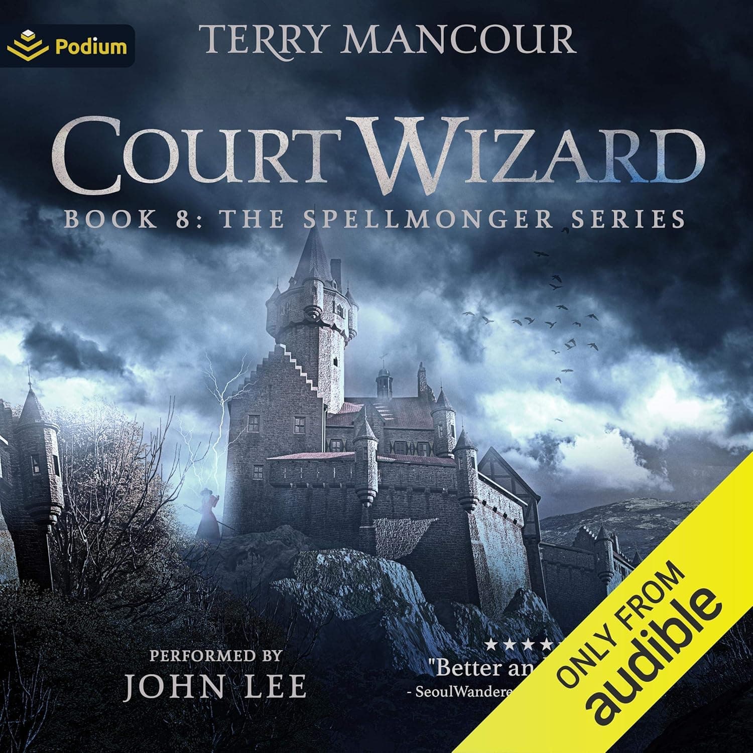 Cover of Court Wizard by Terry Mancour