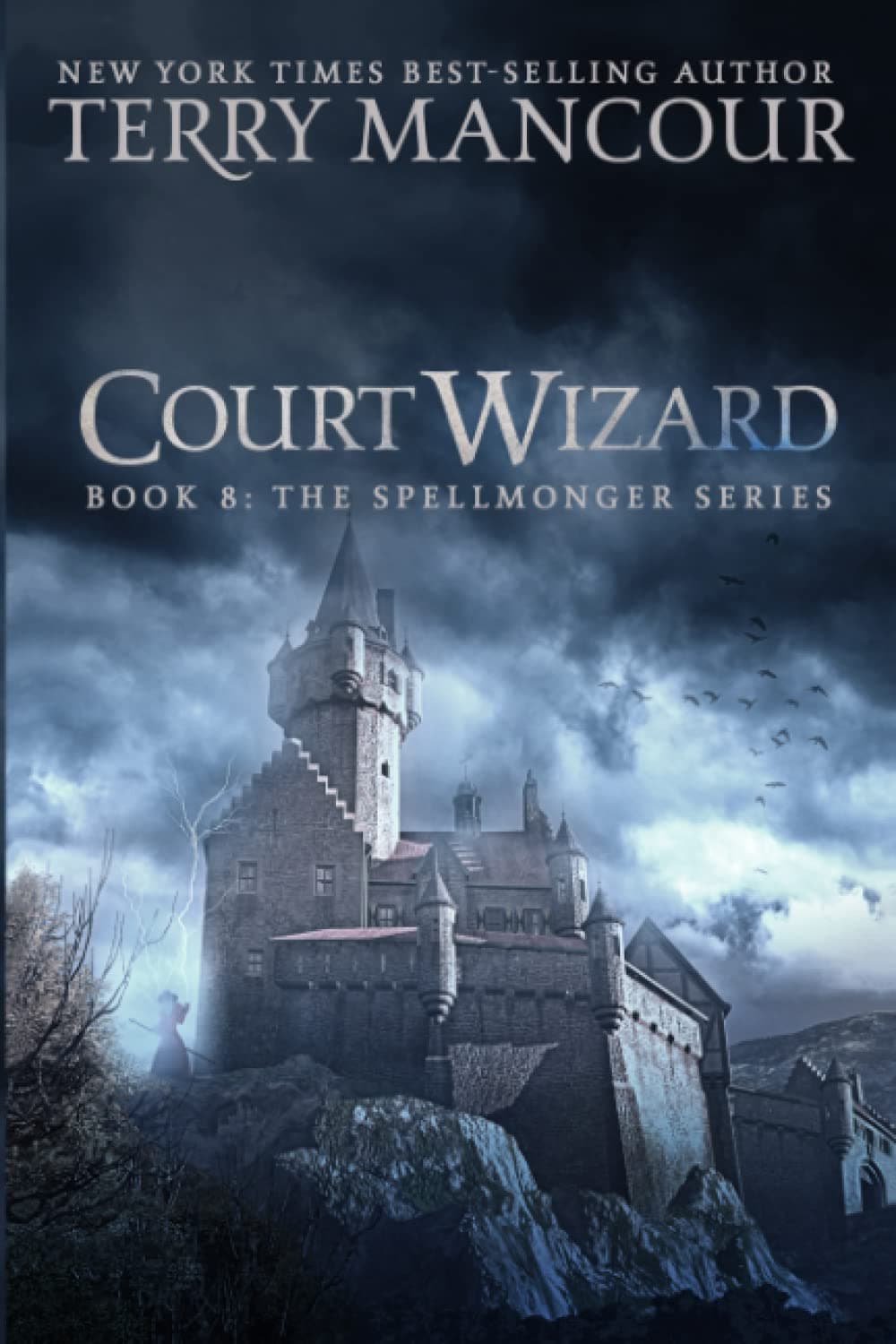 Cover of Court Wizard by Terry Mancour
