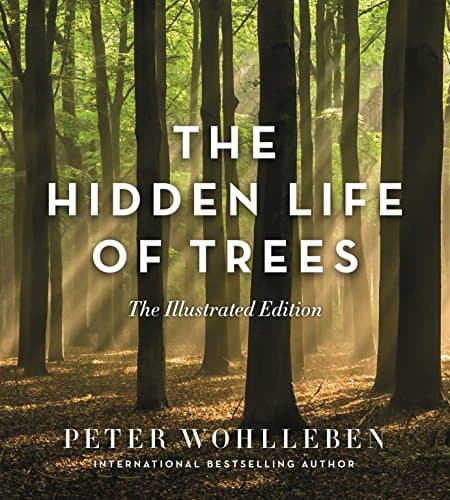 Cover of The Hidden Life of Trees by Peter Wohlleben