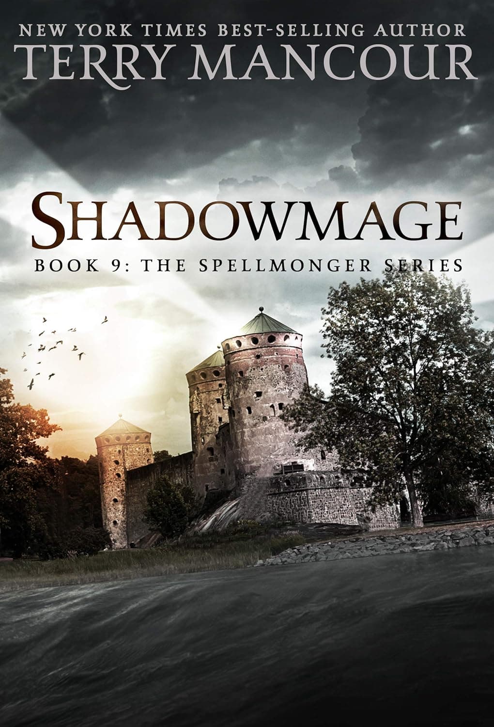 Cover of Shadowmage by Terry Mancour