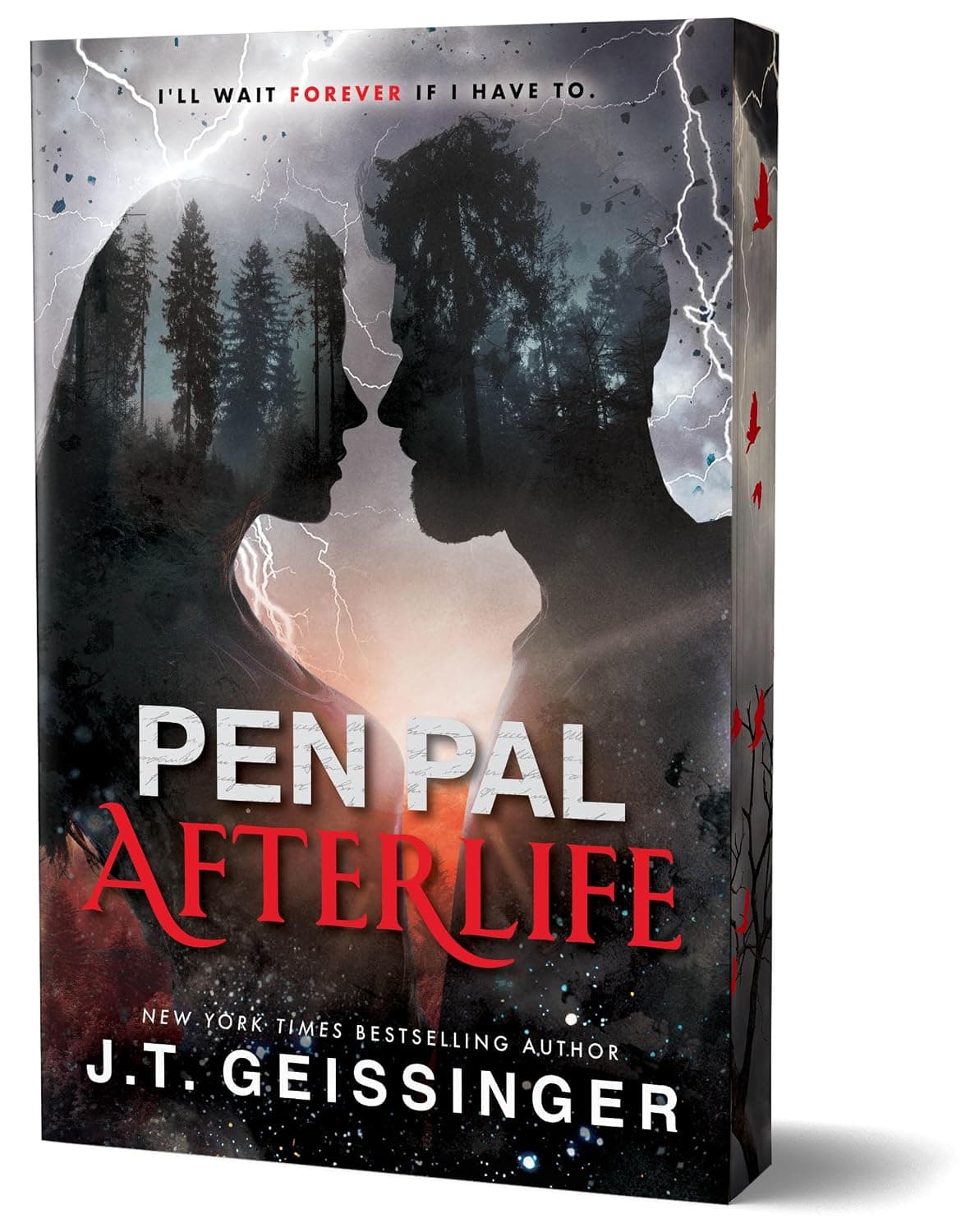 Cover of Pen Pal: Afterlife (Deluxe Edition) by J.T. Geissinger