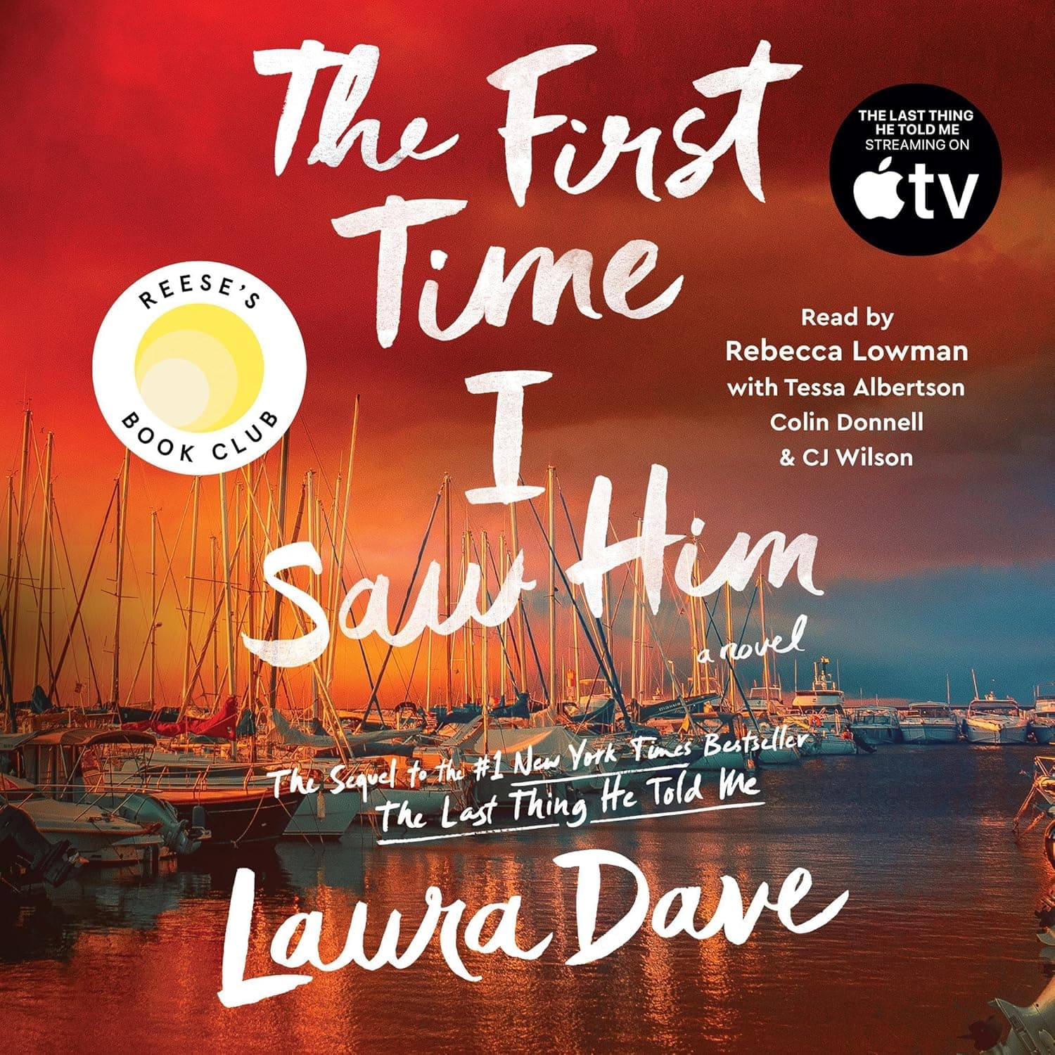 Cover of The First Time I Saw Him by Laura Dave