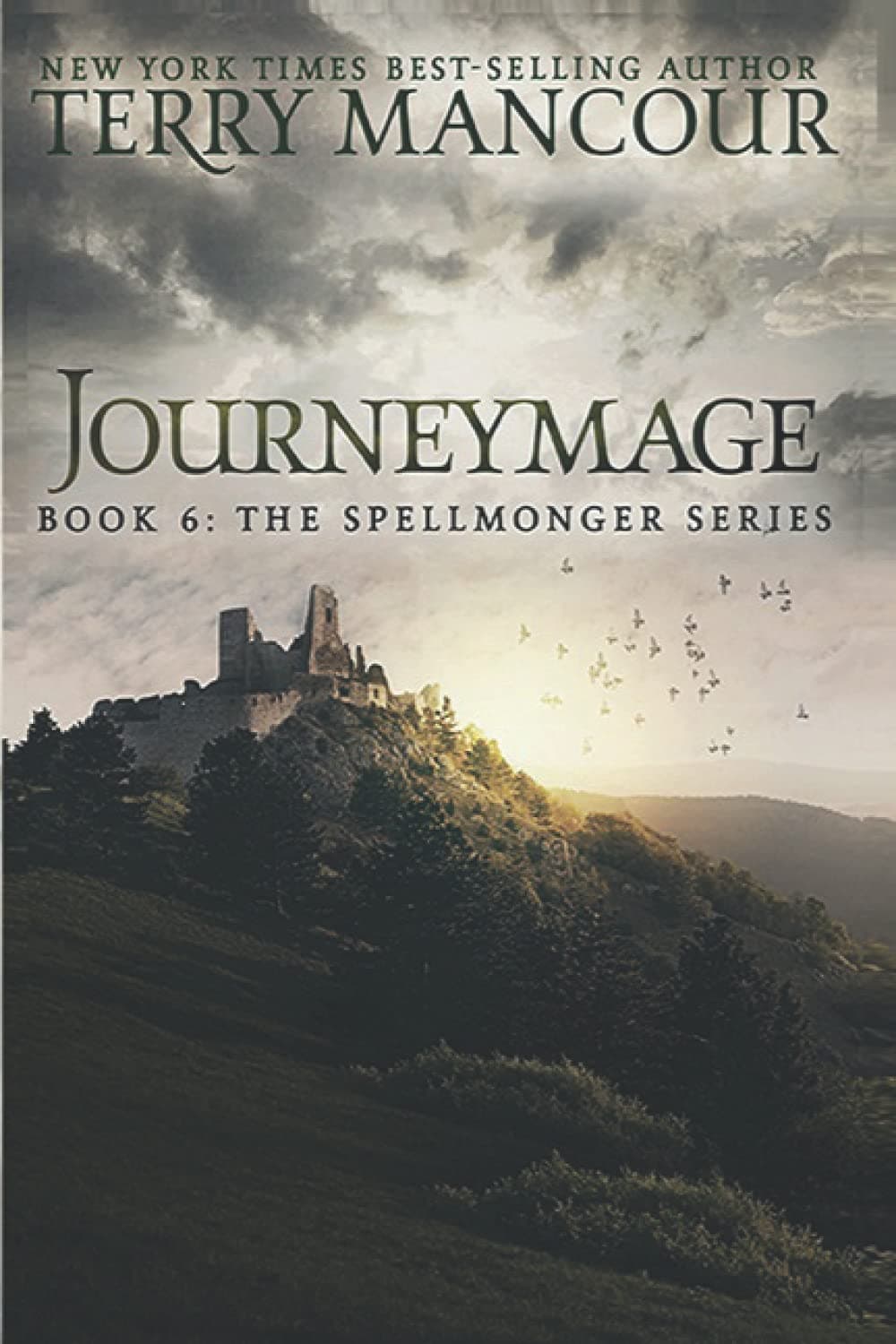 Cover of Journeymage by Terry Mancour
