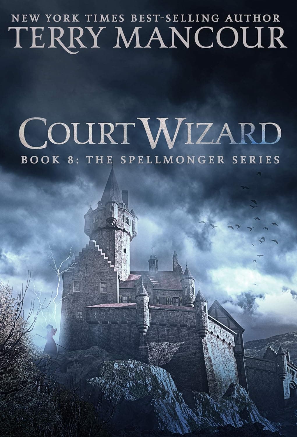 Cover of Court Wizard by Terry Mancour