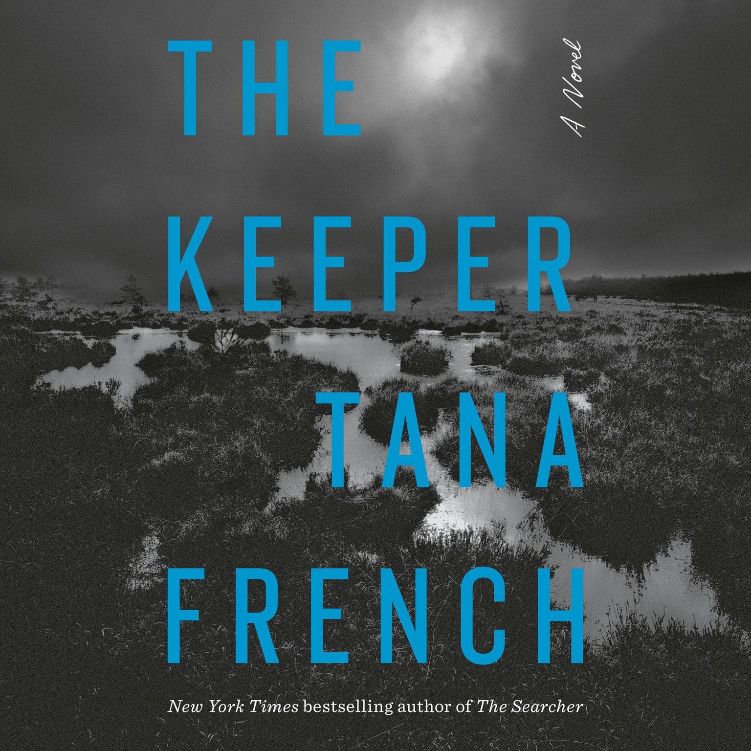 Cover of The Keeper by Tana French