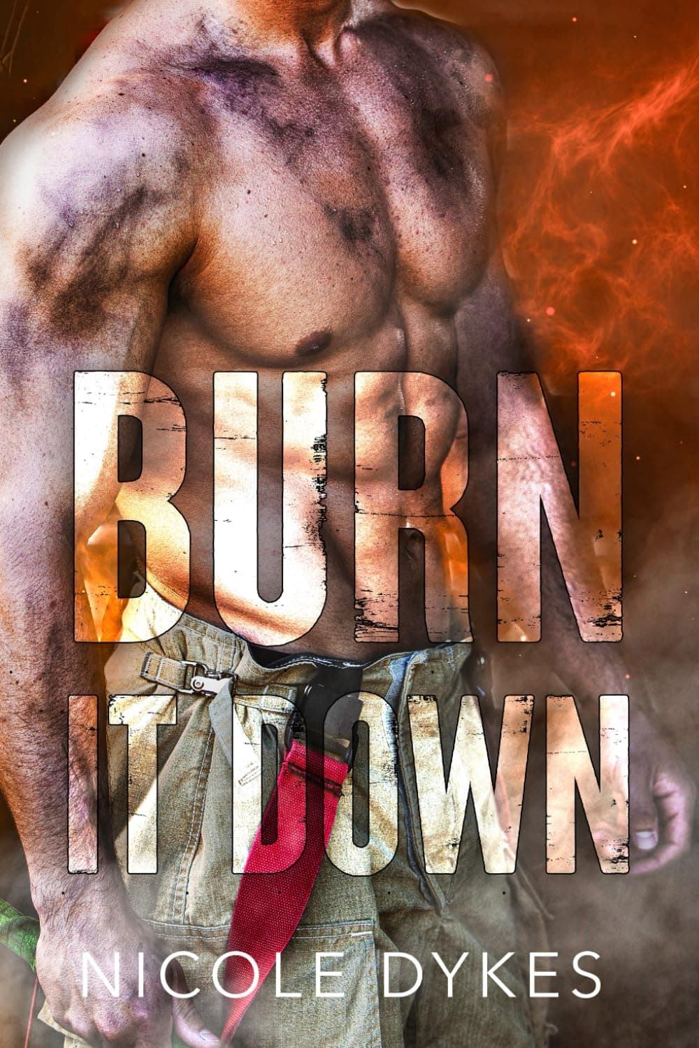 Cover of Burn It Down by Nicole Dykes