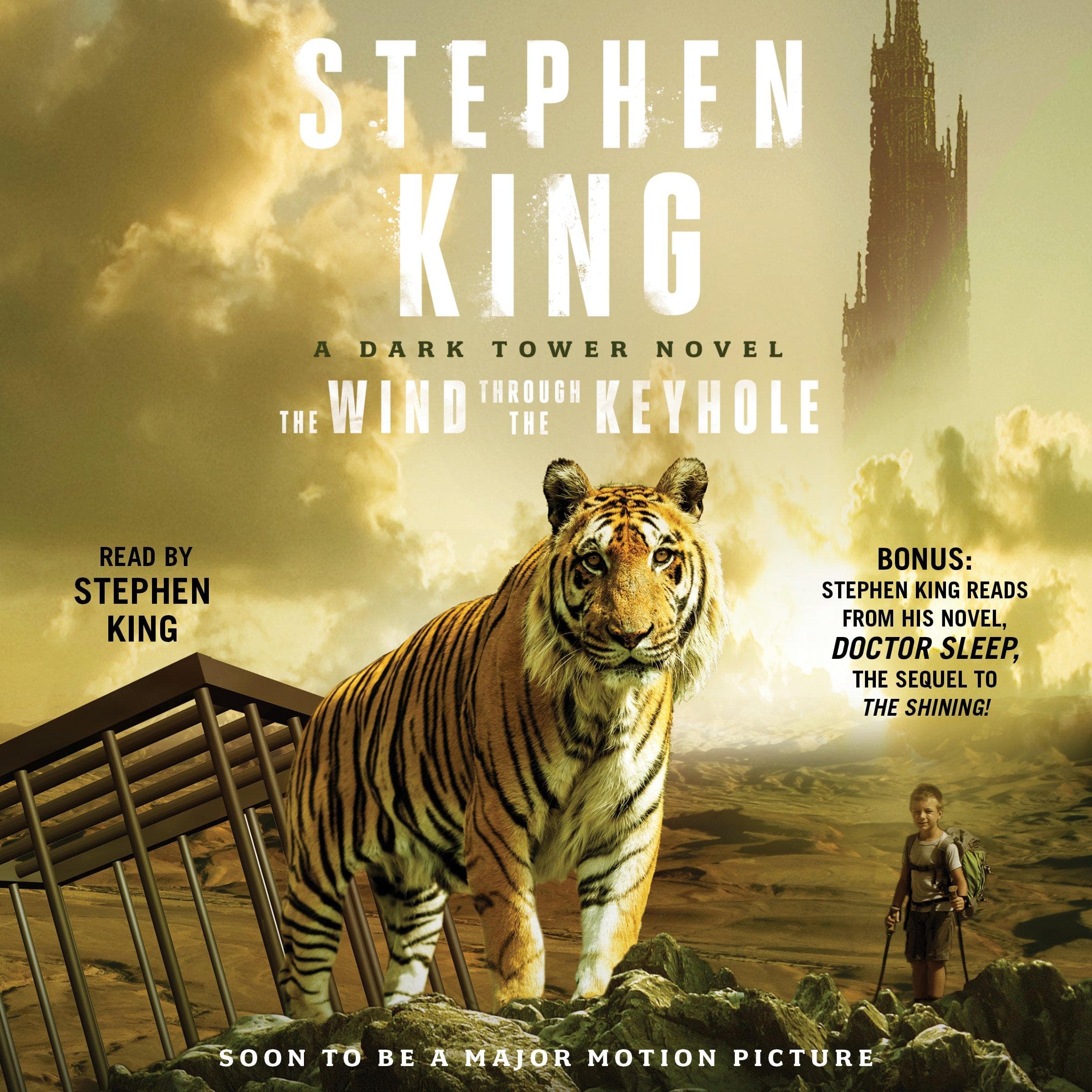 Cover of The Wind Through the Keyhole by Stephen King