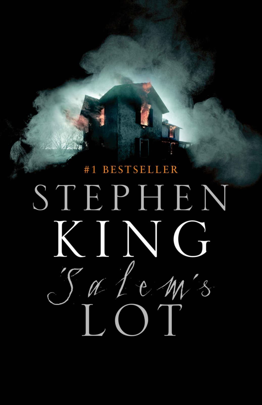 Cover of 'Salem's Lot by Stephen King