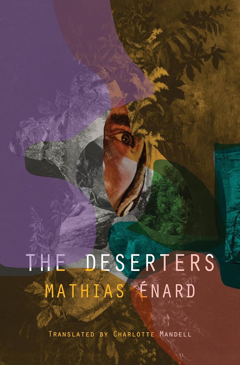 Cover of The Deserters by Mathias Énard