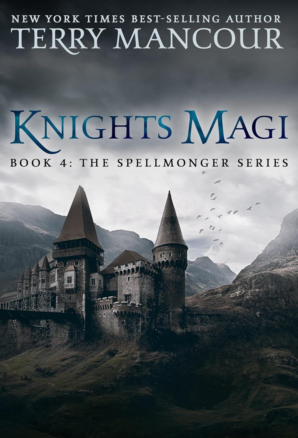 Cover of Knights Magi by Terry Mancour