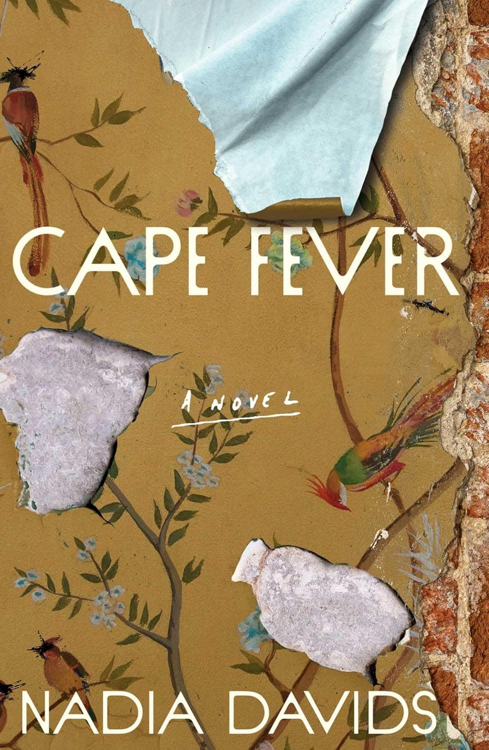 Cover of Cape Fever: A Novel by Nadia Davids