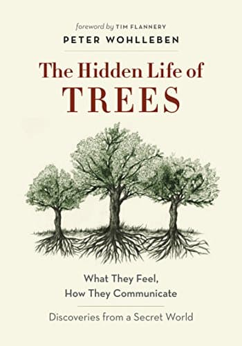 Cover of The Hidden Life of Trees: What They Feel, How They Communicate—Discoveries from a Secret World by Peter Wohlleben