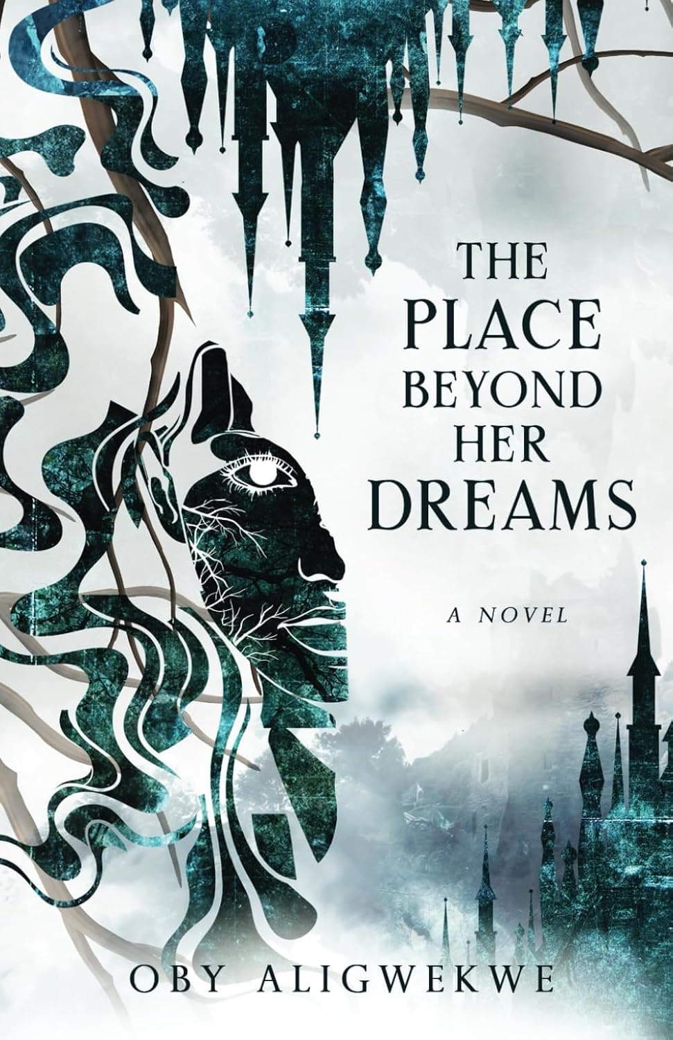 Cover of The Place Beyond Her Dreams by Oby Aligwekwe