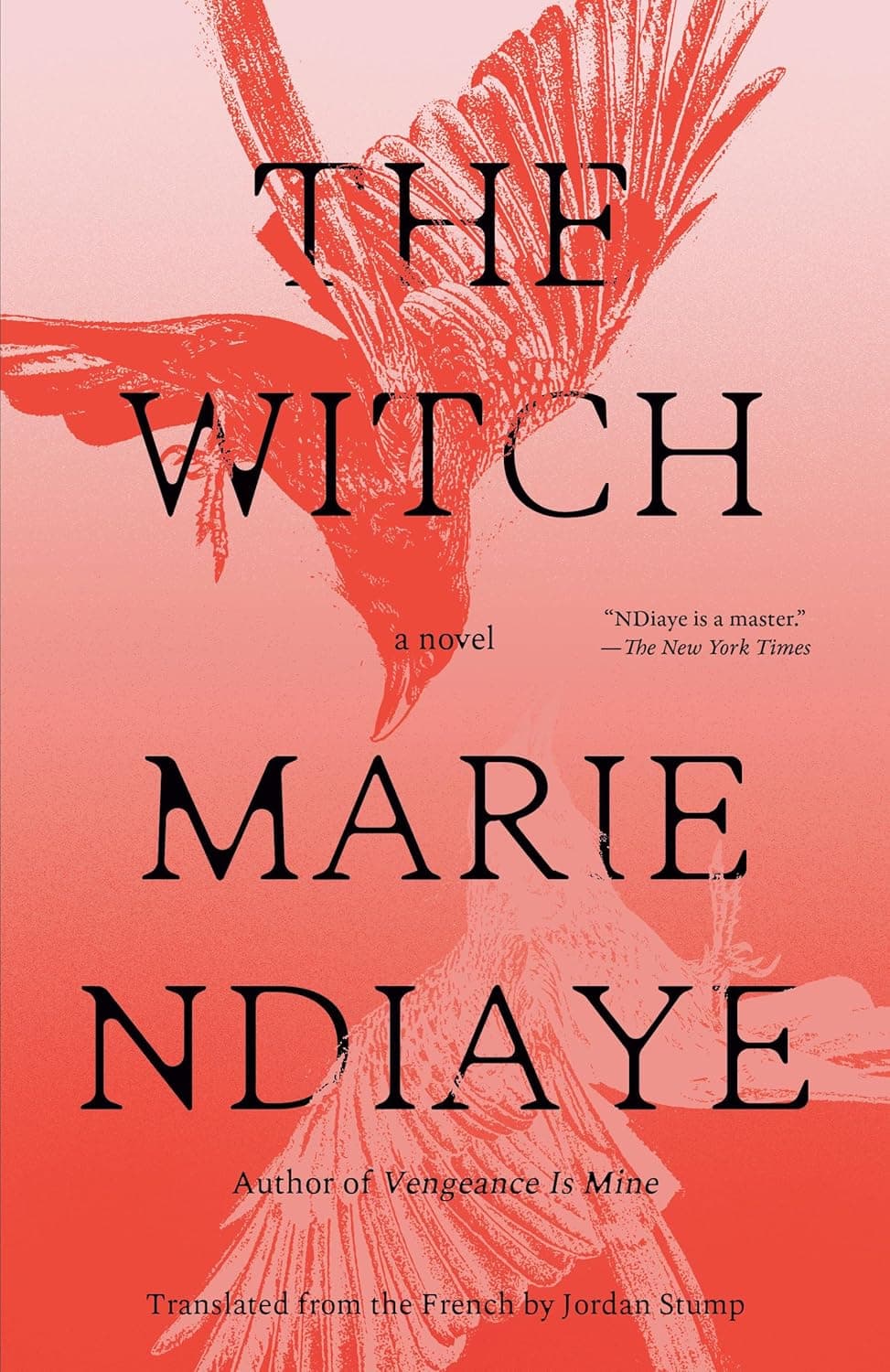 Cover of The Witch: A Novel by Marie NDiaye