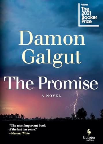 Cover of The Promise by Damon Galgut