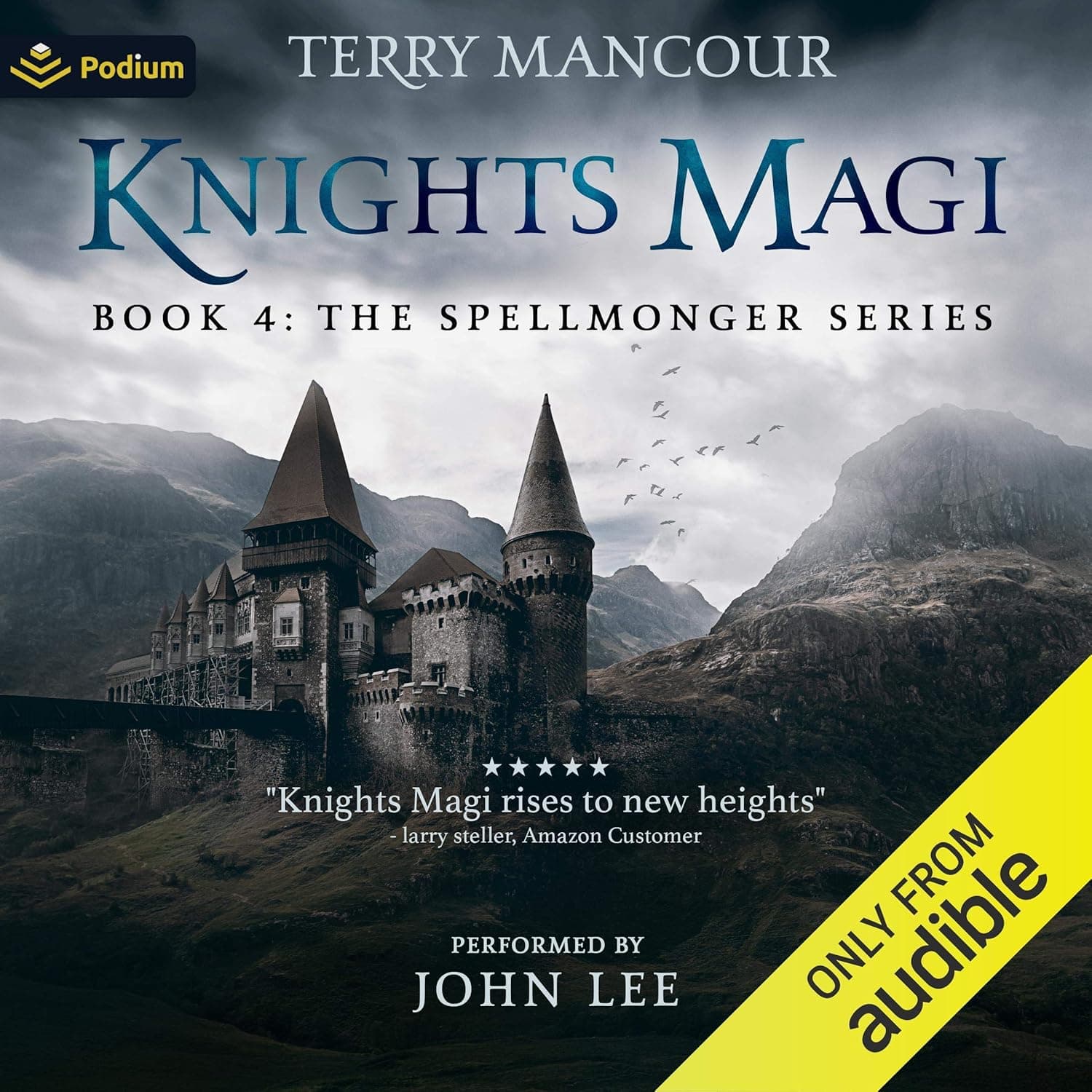 Cover of Knights Magi by Terry Mancour