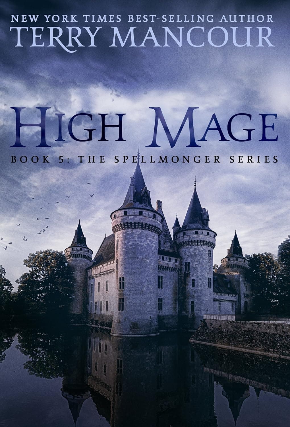 Cover of High Mage by Terry Mancour