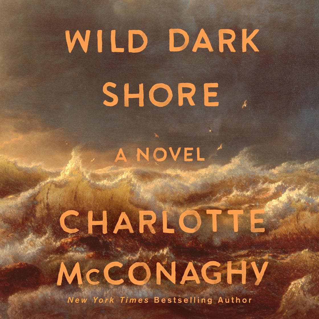 Cover of Wild Dark Shore by Charlotte McConaghy