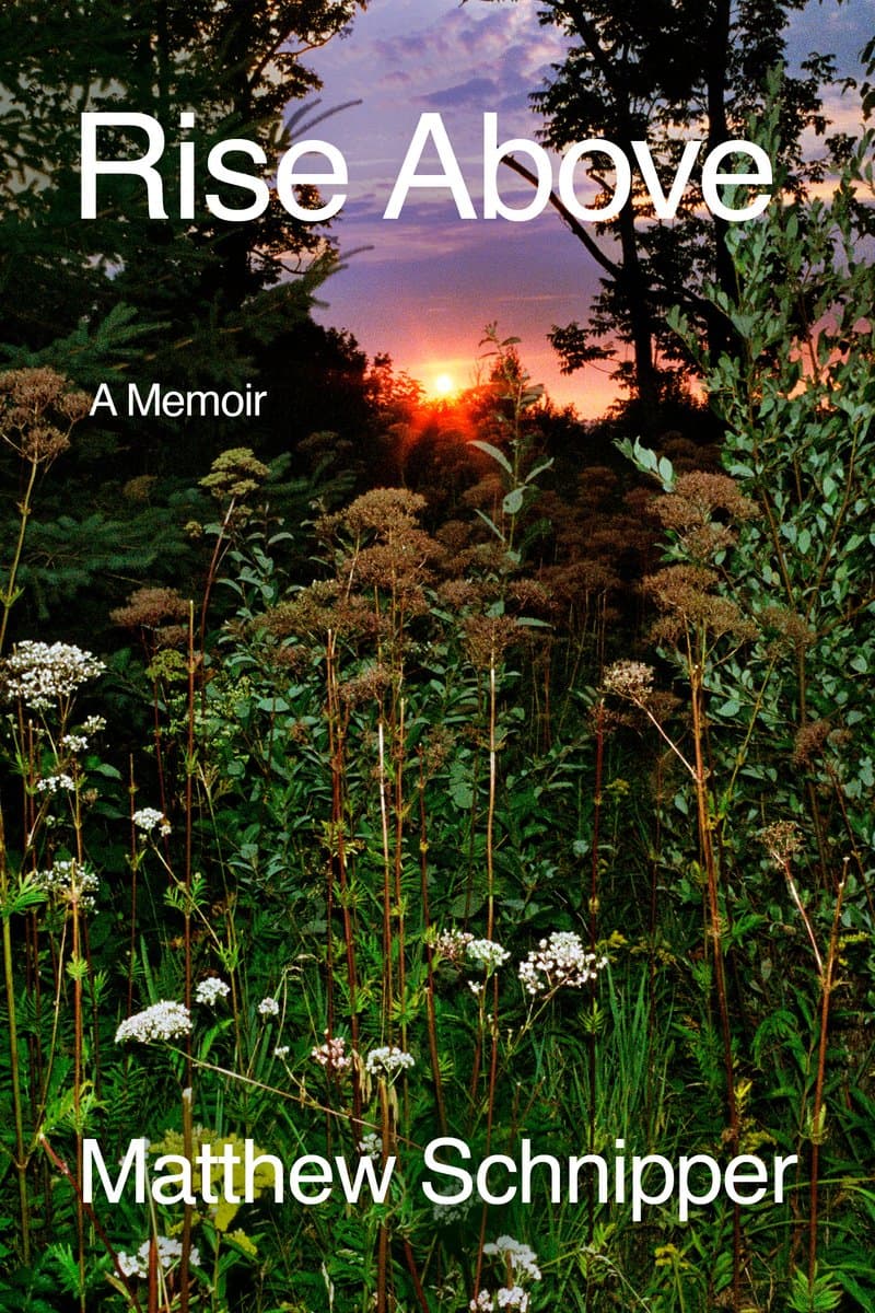 Cover of Rise Above by Matthew Schnipper